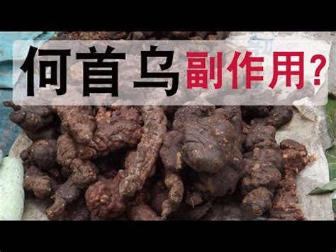 何首烏價格|人蔘何首烏的價格推薦